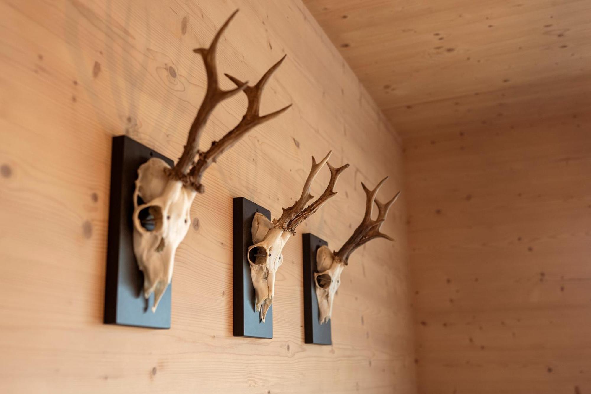 Holzlodge Deluxe Radstadt Exteriér fotografie
